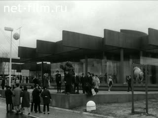 News Foreign newsreels №2204 (1970)