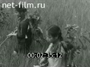 Кадр видео