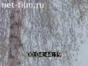 Footage frame