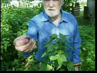 Фильм Тихая моя Родина. (2003)