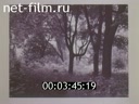 Footage frame