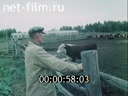 Кадр видео