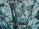 Footage frame