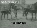 Footage frame