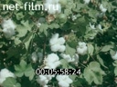 Footage frame