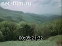 Кадр видео