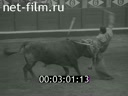 Кадр видео