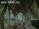 Footage frame