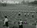 Кадр видео