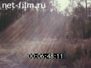 Footage frame