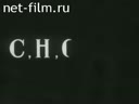 Происхождение нефти и газа