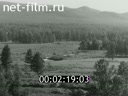 Кадр видео