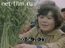 Кадр видео