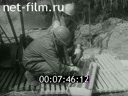 Кадр видео