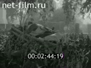 Кадр видео