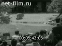 Кадр видео