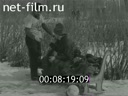 Кадр видео