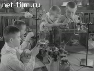 Newsreel Pioneerhood №3 (1951)