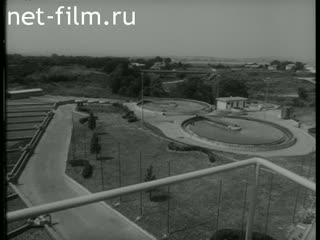 Новости Зарубежные киносюжеты №4495 (1975)