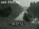 Кадр видео