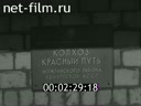 Кадр видео