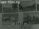 Кадр видео