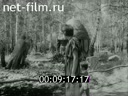 Кадр видео