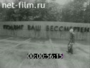 Кадр видео