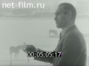 Кадр видео