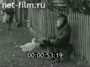 Кадр видео