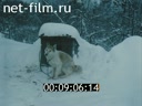 Ural Mountains' Video Chronicle №4-2002 "People on the river"