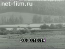 Кадр видео