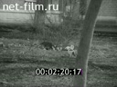 Кадр видео