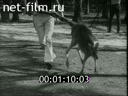 Footage frame