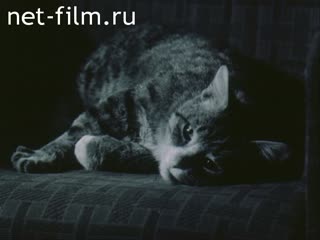 Киножурнал Звезды России №7-1992 И загоралась душа. (1992)