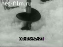 Кадр видео