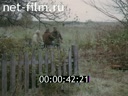 Footage frame