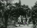 Footage frame