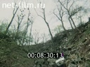 Footage frame