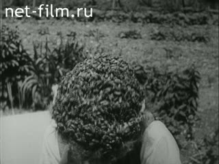 Newsreel Fox Toenende Wochenschau №28 (1937)