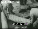 Footage frame
