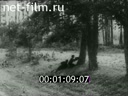 Footage frame