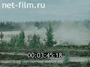 Кадр видео