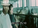 Footage frame