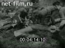 Кадр видео