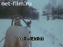 Кадр видео