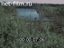 Кадр видео