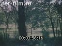 Footage frame