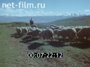 Кадр видео