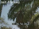 Footage frame